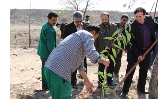 کارکنان دانشگاه کاشان ۵۰۰ اصله نهال غرس کردند