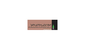 کتاب تصوف ایرانی و عزاداری عاشورا منتشر شد