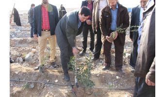 گزارش تصویری مراسم روز درختکاری در دانشگاه کاشان