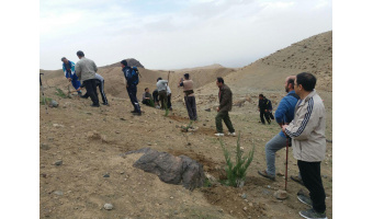 گزارش تصویری کاشت درخت کارکنان دانشگاه کاشان در دامنه کرکس