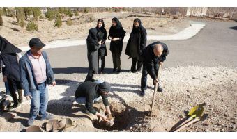 ۱۰۰اصله عناب و بادام در پژوهشکده اسانس قمصر دانشگاه کاشان کاشته شد