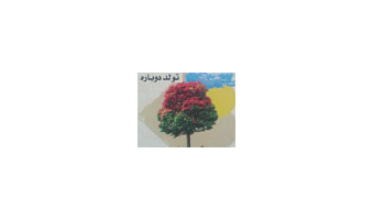 انتشار کتاب "تولد دوباره" مجموعه مقالات عرفانی و ادبی دکتر علی حسین پور