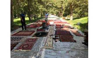 شستشو و حفاظت پیشگیرانه فرشها و دستبافته های بومی موزه سعد آباد توسط استاد و کارشناسان فرش دانشگاه کاشان