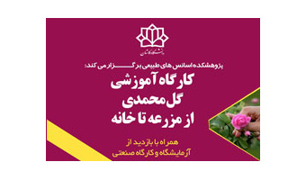 برگزاری کارگاههای آموزشی با موضوع گل محمدی و گلاب، برای گردشگران در پژوهشکده اسانس قمصر