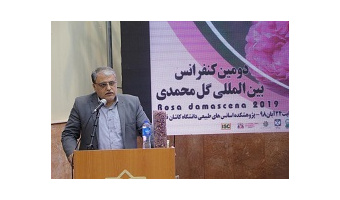 پیوند صنعت، دانشگاه و بازار در فرآیند توسعه صنعت گل محمدی و گلاب لازم است