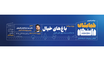 خیابان دانشگاه ۷