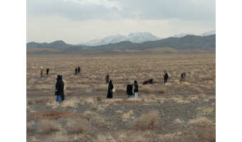 پویش نهالکاری توسط دانشجویان  دانشگاه کاشان بمناسبت هفته منابع طبیعی وآبخیزداری
